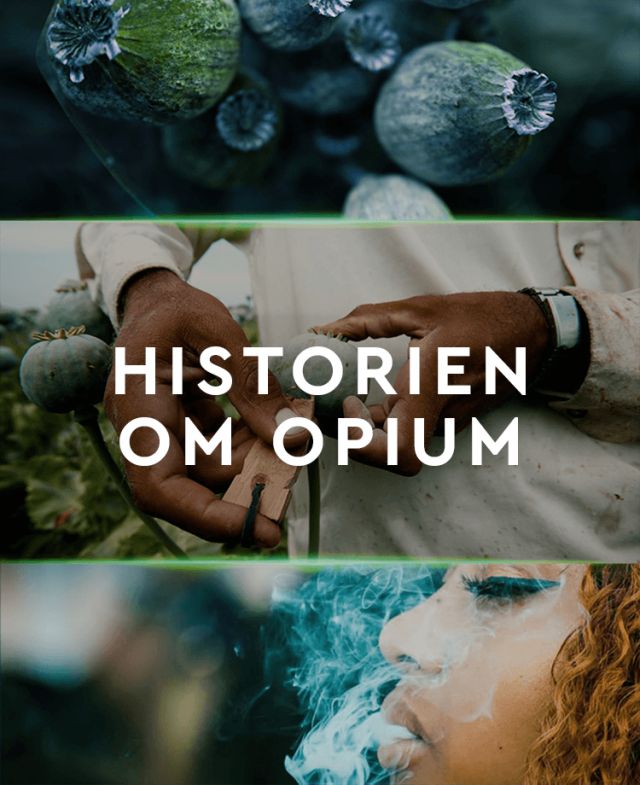 Historien om opium