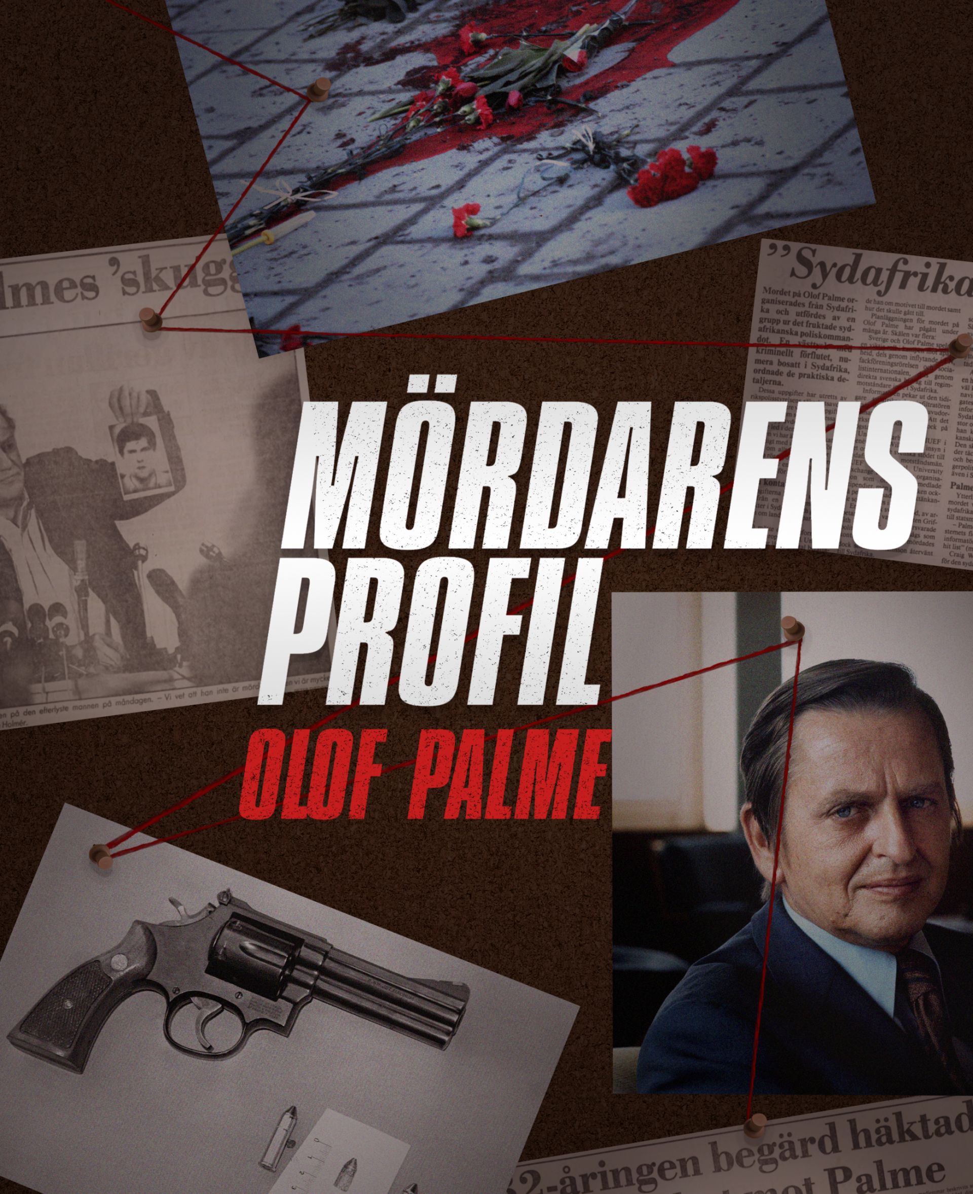 Mördarens profil: Olof Palme