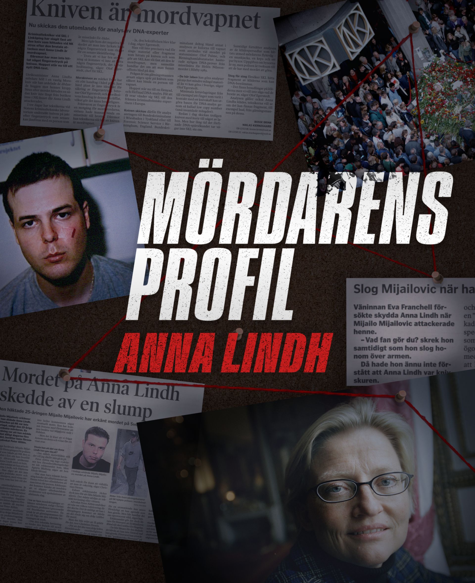 Mördarens profil: Anna Lindh