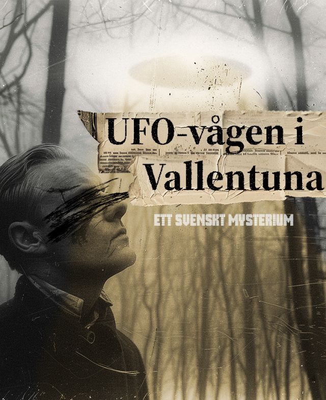 UFO-vågen i Vallentuna